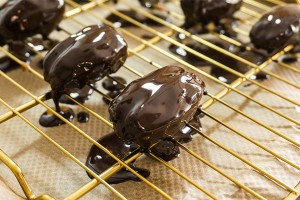 Chocolate coating machine for dates